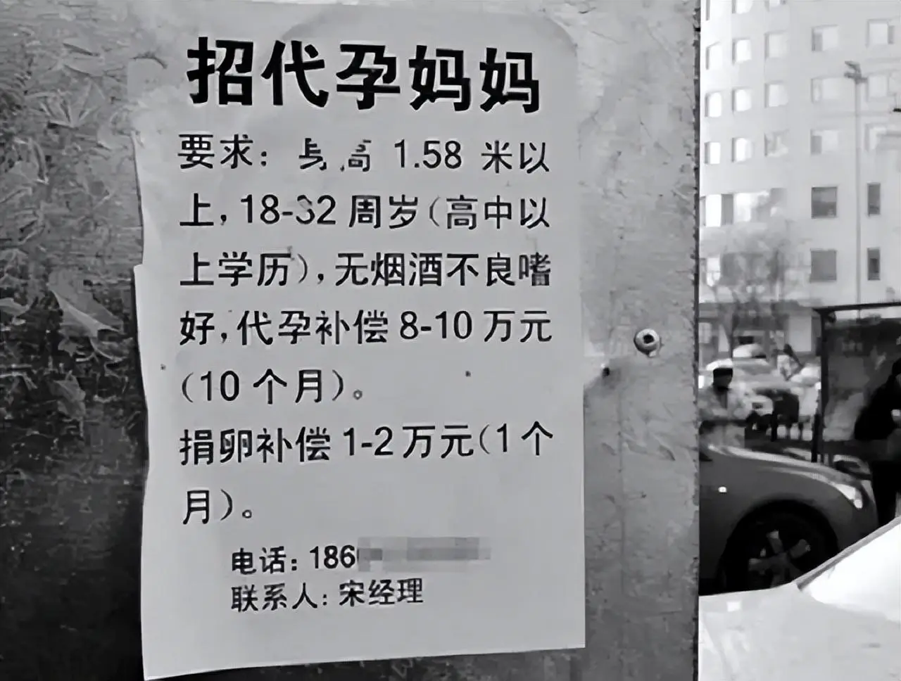 1786451269756668.jpeg 代孕.jpeg